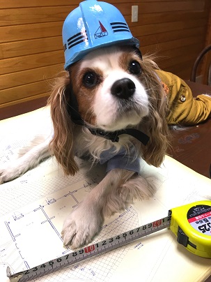 えっ犬小屋のリフォーム？大得意だよ！