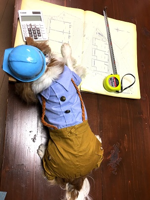 会社で設計図を作製するよりも現場でひなたぼっこしてる方が好きなんだよなぁ