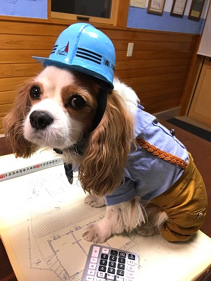 はちじんの郵便局ポスターや新聞チラシに使われている僕の写真だよ