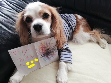 お客様のお嬢さんから僕に手紙をもらったんだよ★