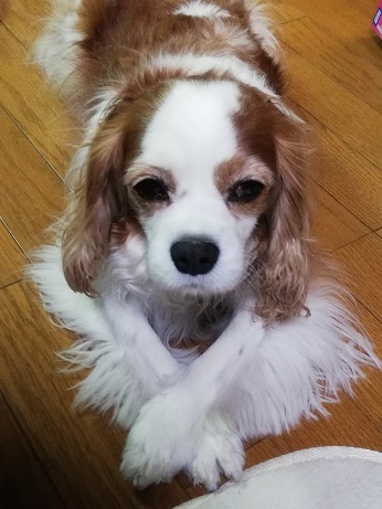 脚を組んで考え事するのが好きなんだ！