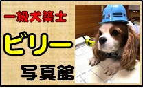 ビリーの写真集ページへ