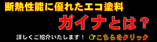 調布でガイナ塗装は「ハチジン」　こちらで製品の詳しい説明をいたします。
