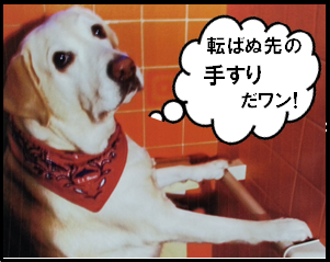 手すりがあるだけで住宅内での転倒の可能性が大幅に減少します。高齢のお客様は手軽に設置可能な手すり工事をおすすめします。