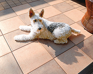 木材のバルコニーデッキとは違い、劣化やささくれなどもないのでペットやお子様に安心してお使いいただけます。